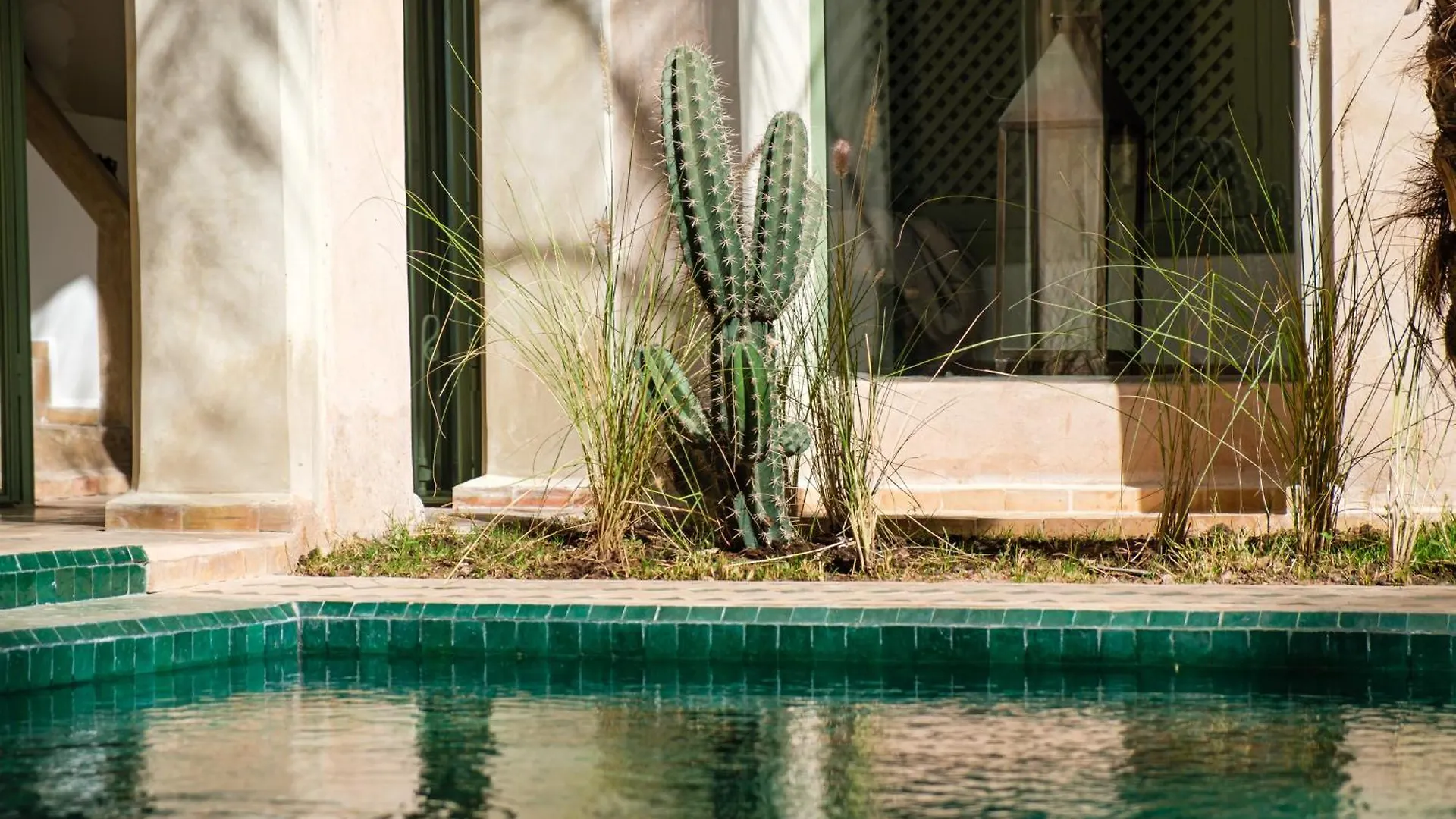 Rare Riad 29 Exclusif Swiming Pool And Breakfast Marrakesh