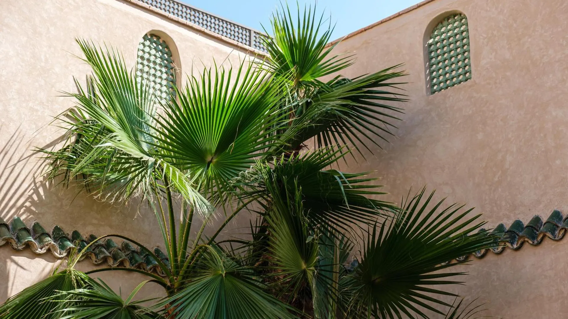 Rare Riad 29 Exclusif Swiming Pool And Breakfast Marrakesh